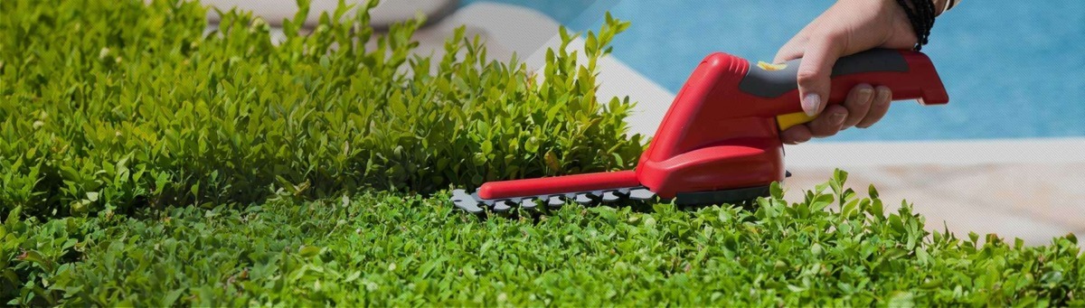 Servicio de mantenimiento de jardín. Grupo Pamarés